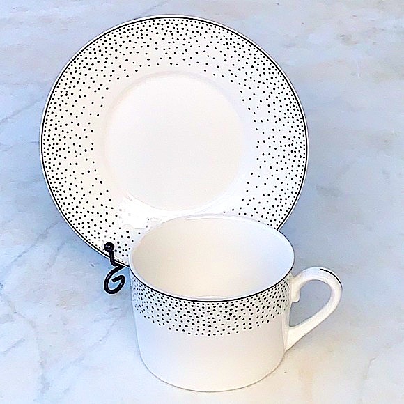 GRACES TEAWARE SILVER METALLIC MICRO DOTS FLAT CUP SAUCER SET NEW PORCELAIN - Picture 9 of 10